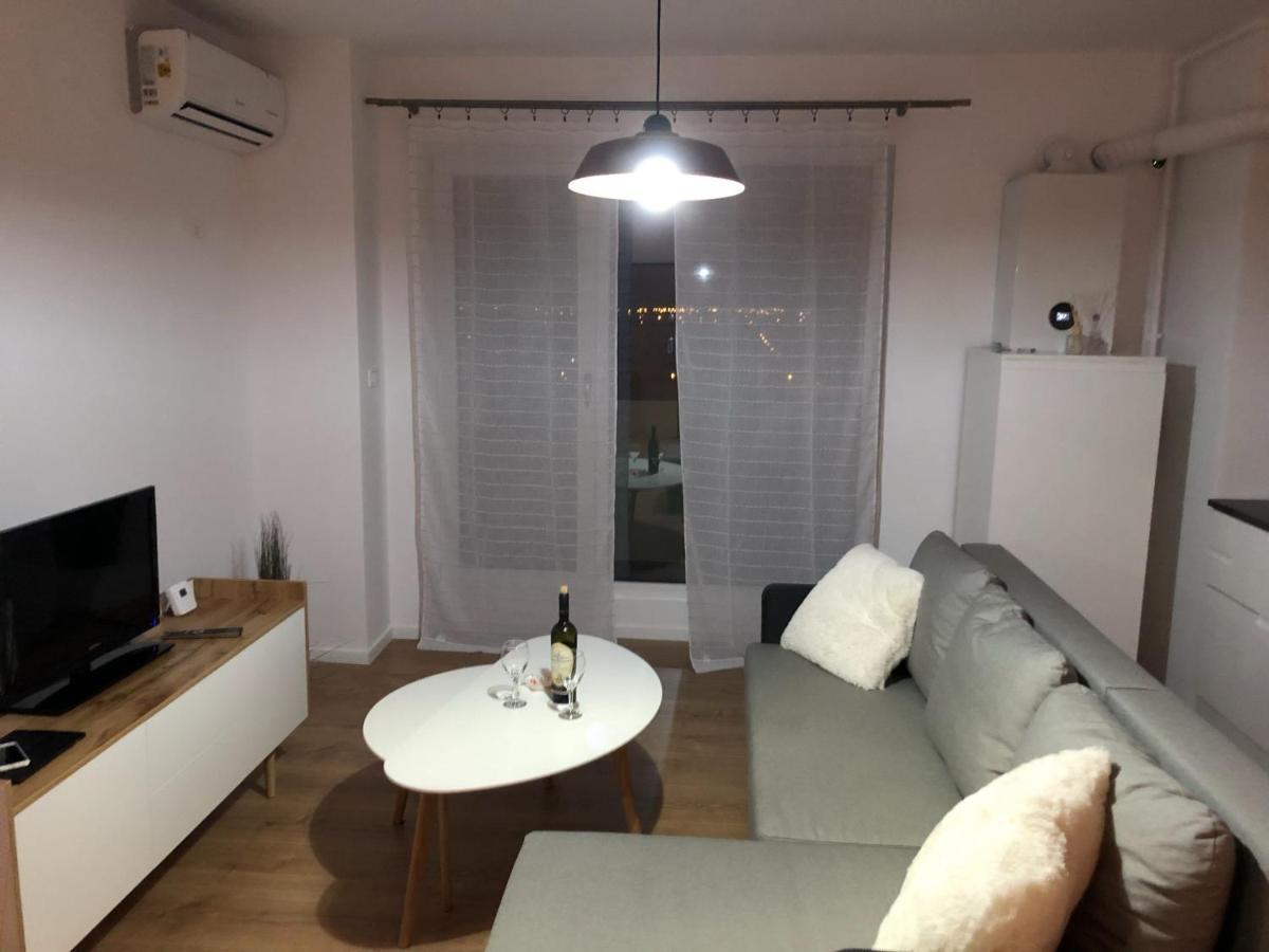 Apartamento Ap Chronos - HiSpeed Internet - Free parking - Elevator Timisoara Exterior foto